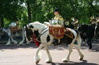 Trooping the Colour 015.jpg - 2005:06:11 10:51:55