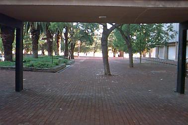 East of Reid Library looking south