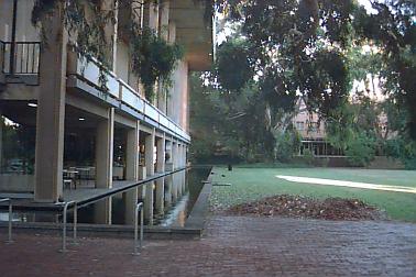 East of Reid Library looking west