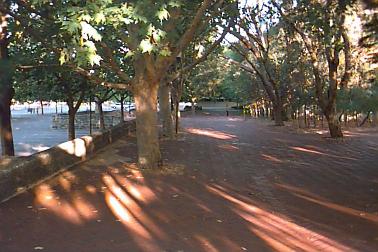 South East of Reid Library looking east