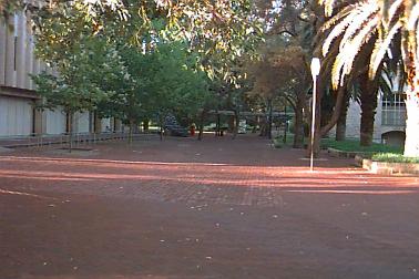 South east of Reid Library looking north